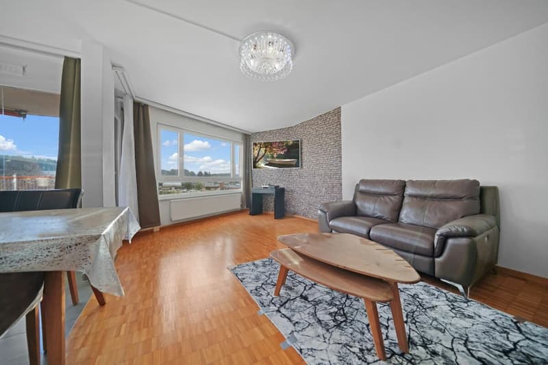 Appartement lumineux, central 4.5 pièces avec vue imprenable (4)