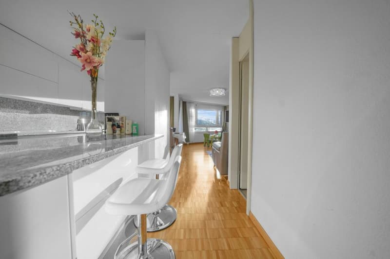 Appartement lumineux, central 4.5 pièces avec vue imprenable (8)