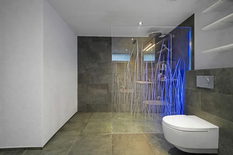 Appartamento nuovo, moderno 2.5 locali PLUS condominio con giardino (8)