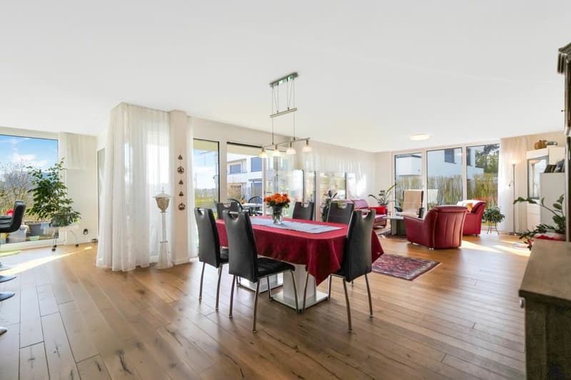 Appartement de terrasse moderne et lumineux avec grand jardin (2)