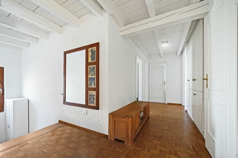 Duplex sous les toits avec ascenseur privatif - spacieux, lumineux et plein de potentiel (5)