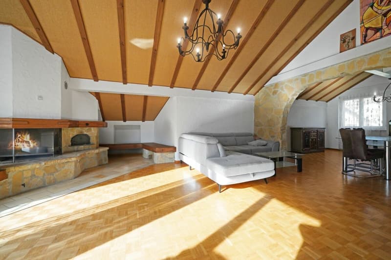 Duplex sous les toits avec ascenseur privatif - spacieux, lumineux et plein de potentiel (4)