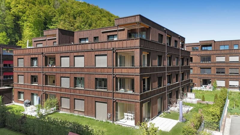 Moderne, helle 3.5 Zimmerwohnung im neuen Fischermätteli-Quartier (1)