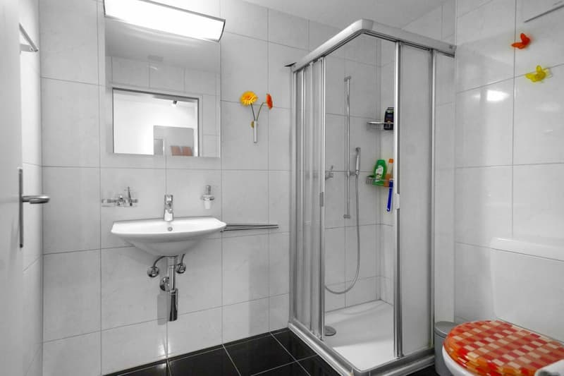 Grosszügige 5.5-Zimmer Maisonette Wohnung im Herzen von Studen (4)