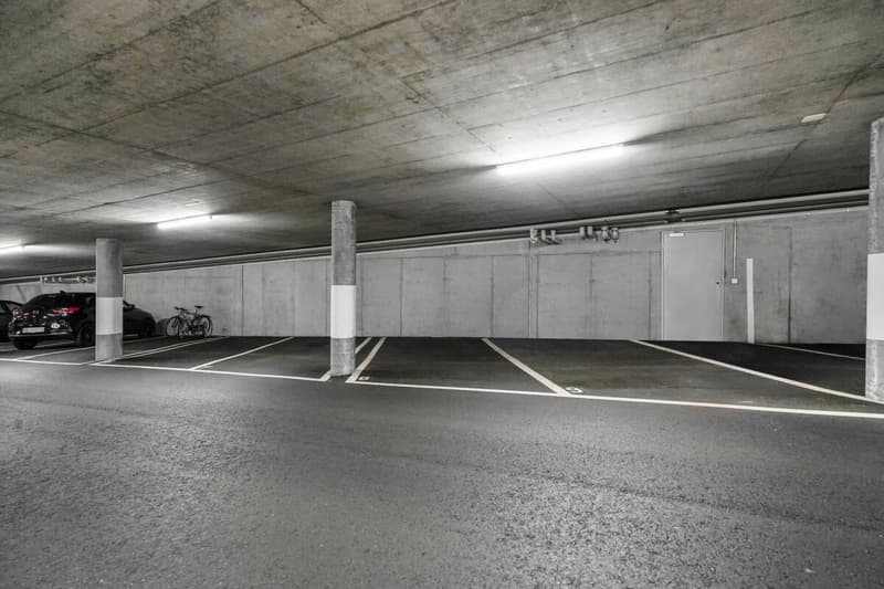 Neuwertige, helle 4.5 Zimmer Parterre-Wohnung in Stadtnähe (15)