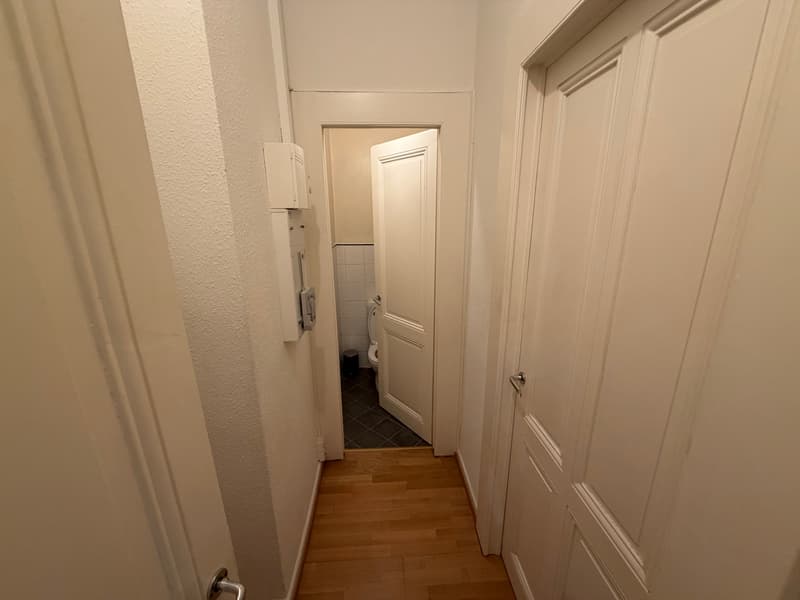 Charmant appartement de 2,5 pièces rénové à Genève (4)