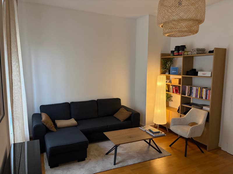 Charmant appartement de 2,5 pièces rénové à Genève - Transfert de bail à TERME FIXE (2)