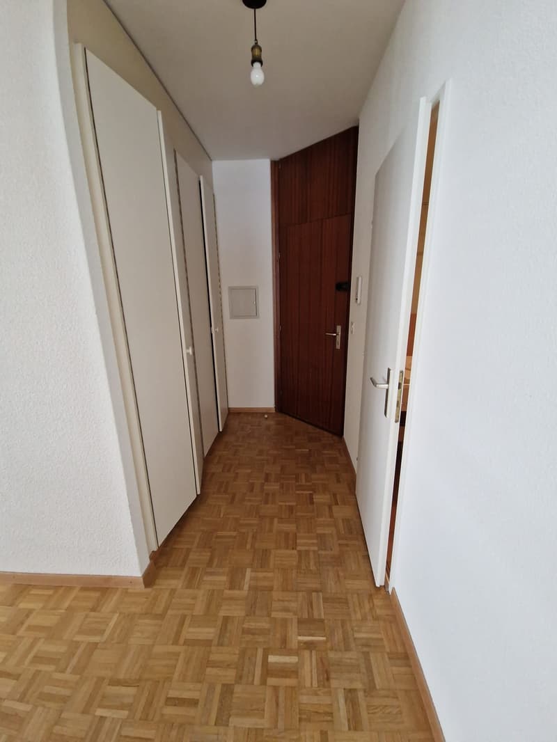 Bel appartement de 3 Pièces au cœur du quartier des Eaux-vives (12)