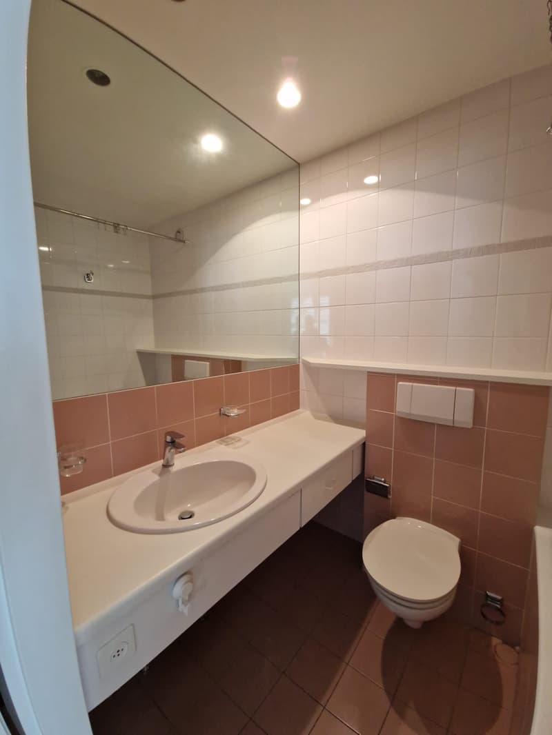 Bel appartement de 3 Pièces au cœur du quartier des Eaux-vives (11)
