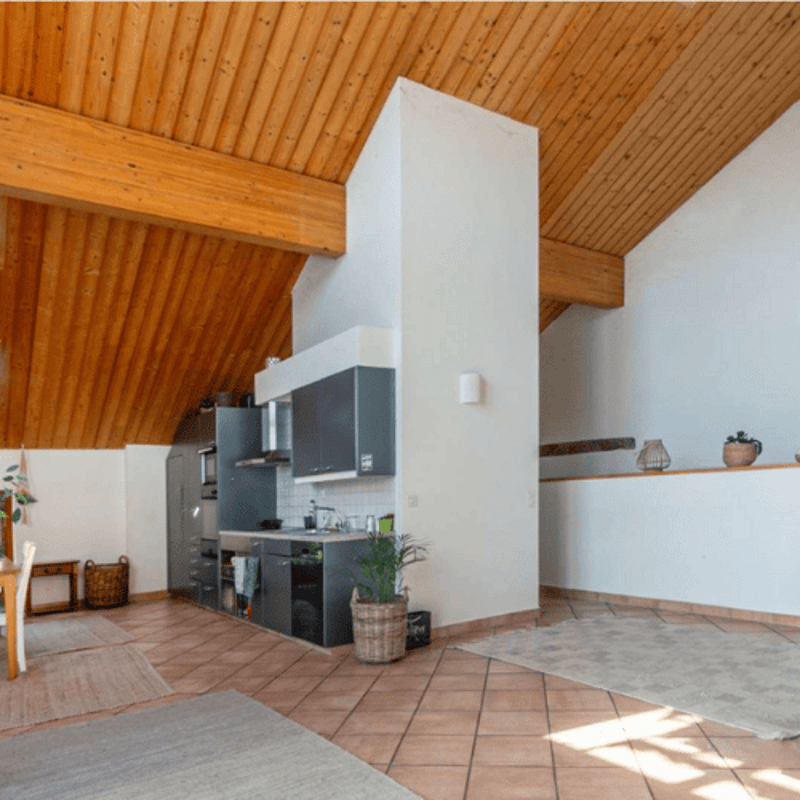 Charmant appartement de 4 pièces à Laconnex – (3)
