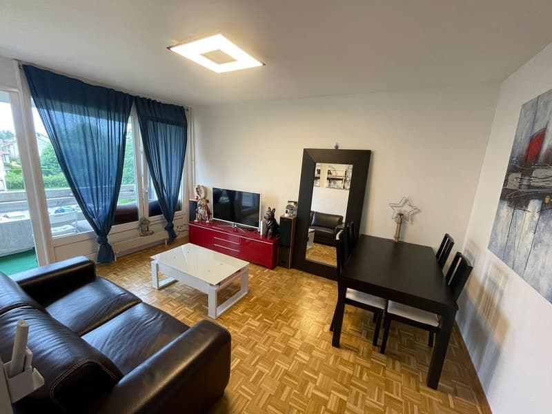 Appartement 3 pièces en étage élevé avec balcon à Meyrin (1)