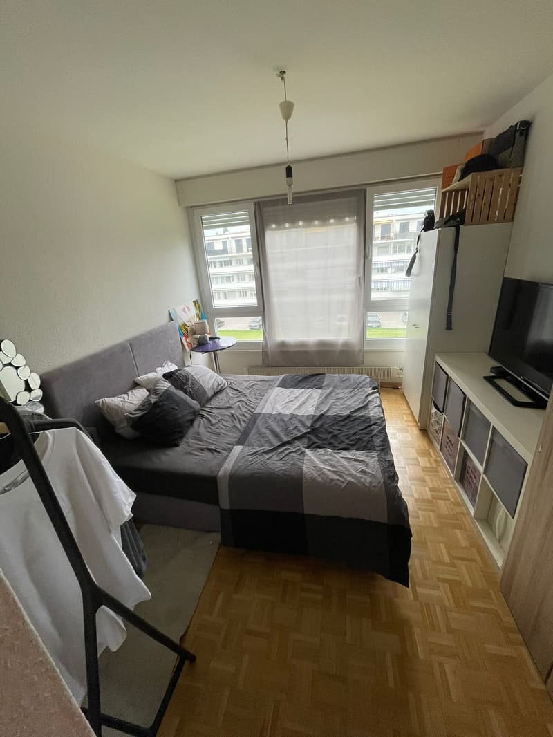 Appartement 3 pièces en étage élevé avec balcon à Meyrin (3)