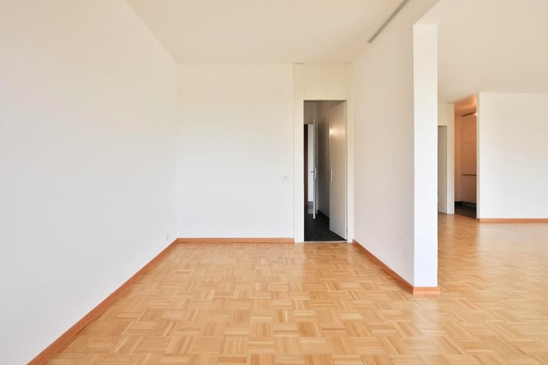 Charmant appartement de 3 pièces à Genève (5)