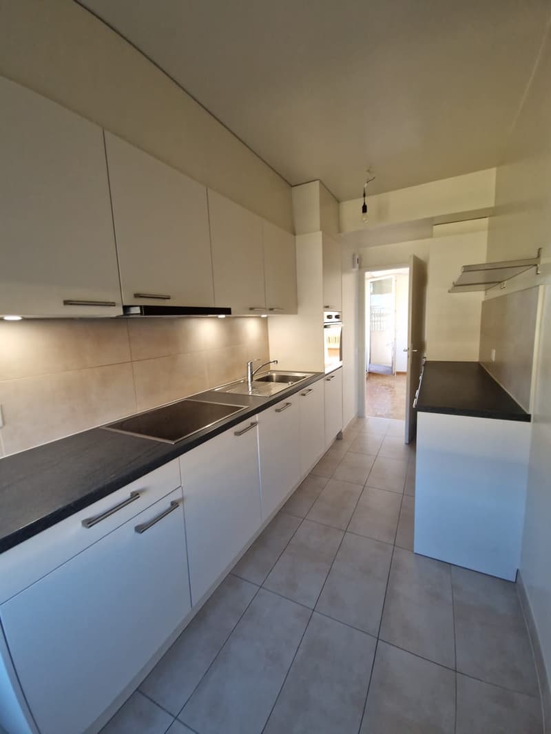 Superbe duplex de 6 Pièces au dernier étage dans le quartier de Plainpalais (3)