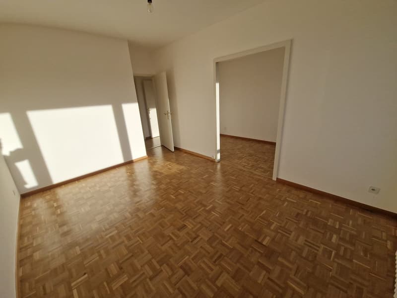 Superbe duplex de 6 Pièces au dernier étage dans le quartier de Plainpalais (7)