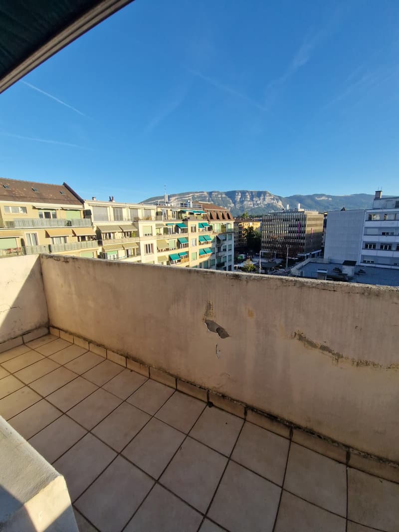 Superbe duplex de 6 Pièces au dernier étage dans le quartier de Plainpalais (12)