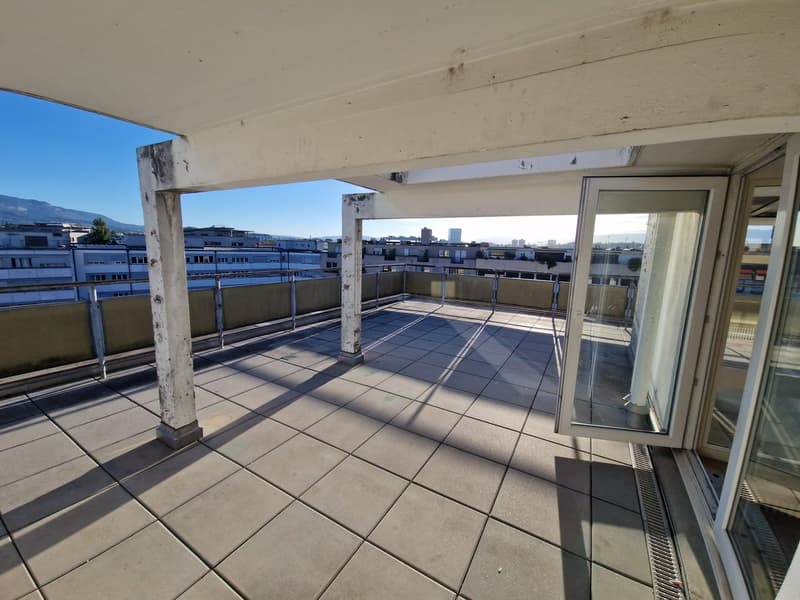 Superbe duplex de 6 Pièces au dernier étage dans le quartier de Plainpalais (18)