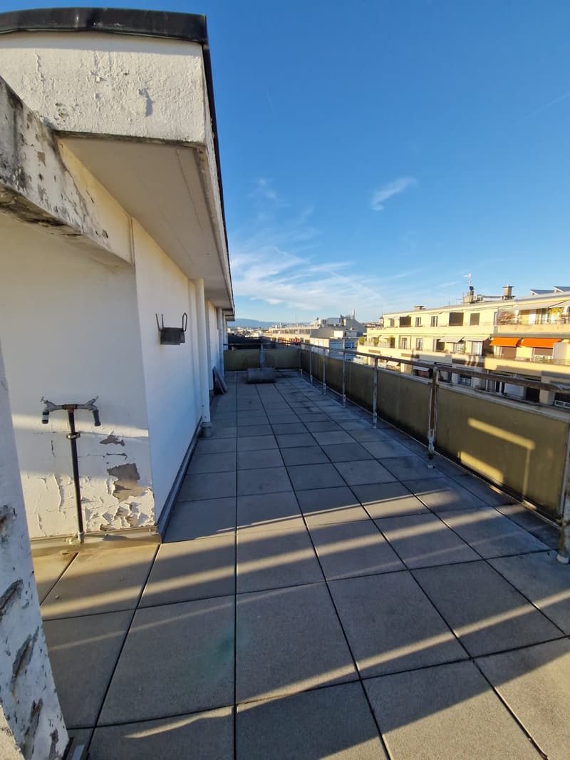 Superbe duplex de 6 Pièces au dernier étage dans le quartier de Plainpalais (17)