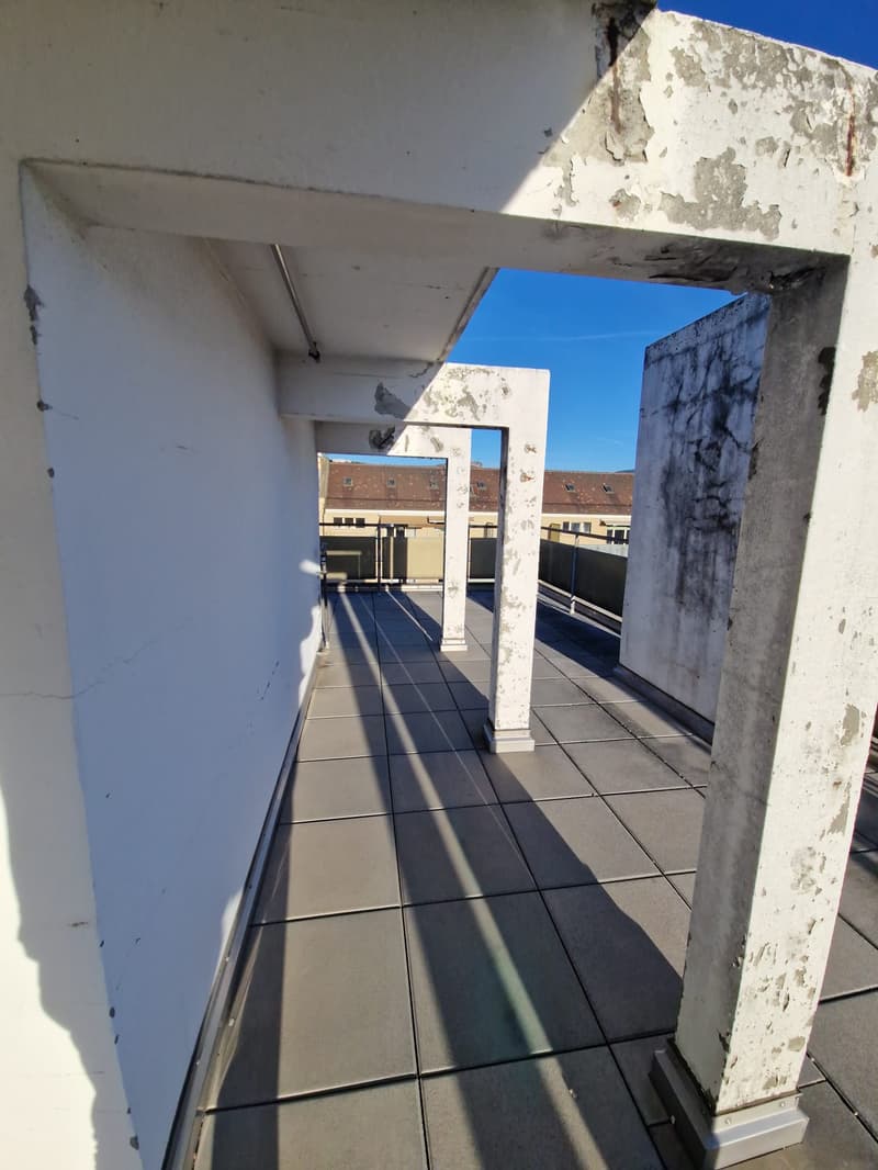 Superbe duplex de 6 Pièces au dernier étage dans le quartier de Plainpalais (19)