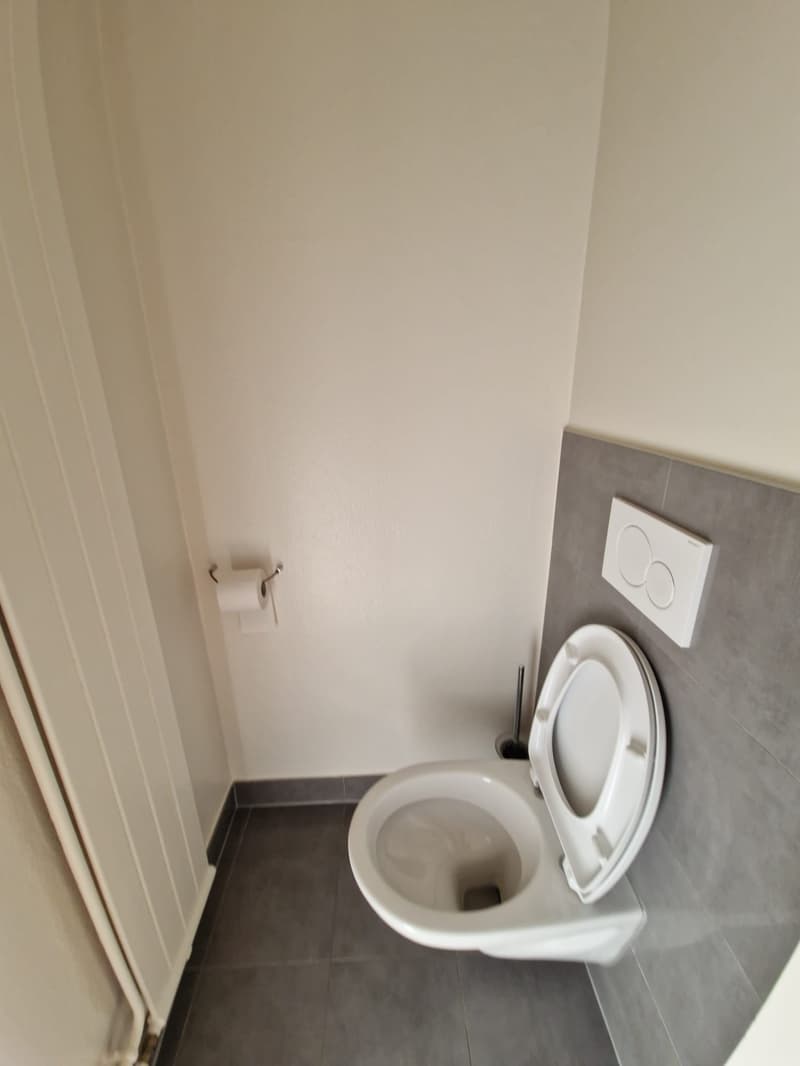 Superbe duplex de 6 Pièces au dernier étage dans le quartier de Plainpalais (11)
