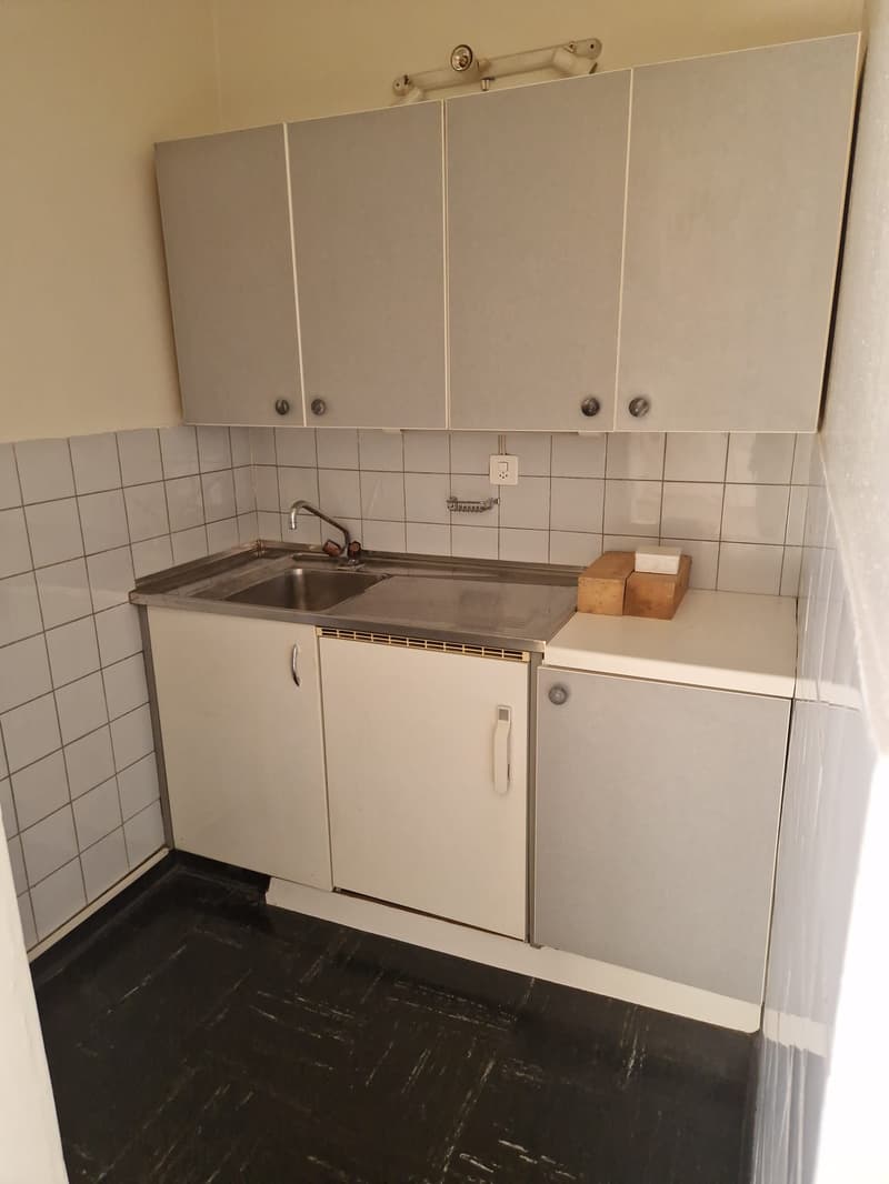 Superbe duplex de 6 Pièces au dernier étage dans le quartier de Plainpalais (16)