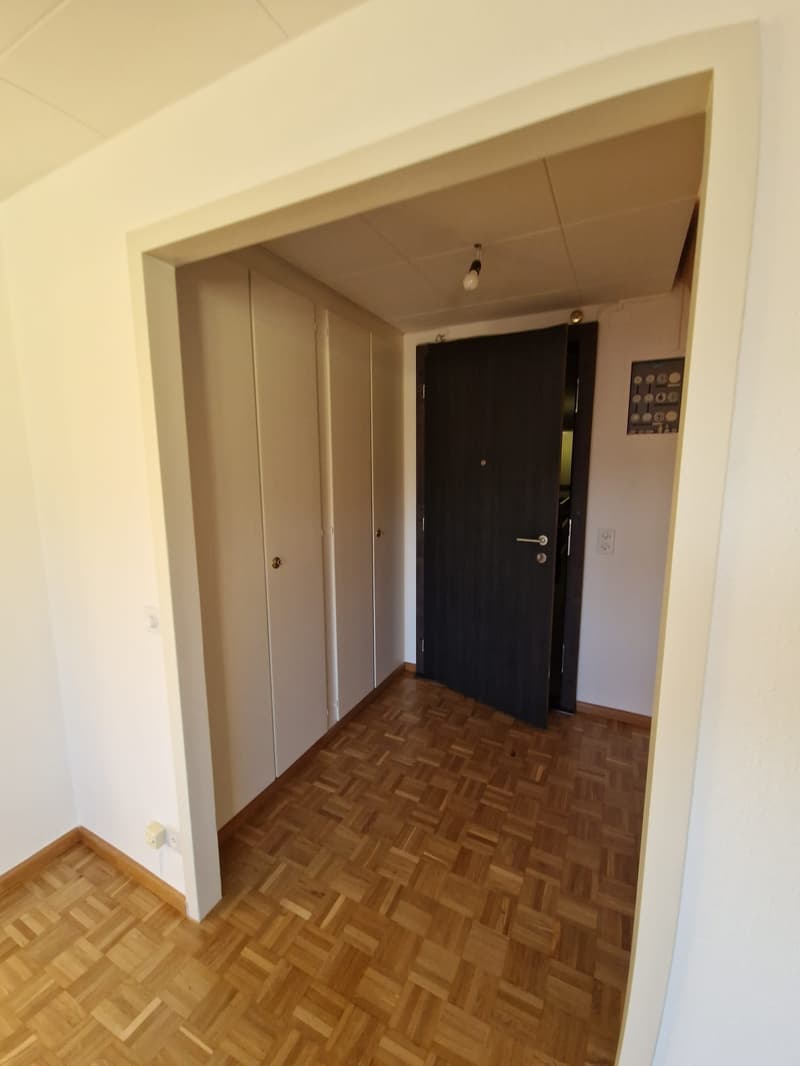 Superbe duplex de 6 Pièces au dernier étage dans le quartier de Plainpalais (1)