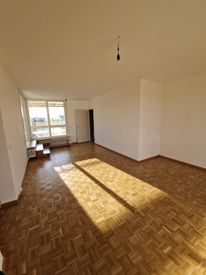 Superbe duplex de 6 Pièces au dernier étage dans le quartier de Plainpalais (14)