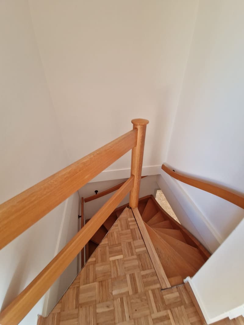 Superbe duplex de 6 Pièces au dernier étage dans le quartier de Plainpalais (13)
