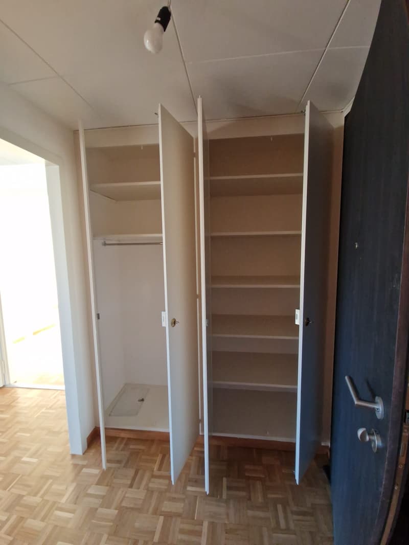 Superbe duplex de 6 Pièces au dernier étage dans le quartier de Plainpalais (20)