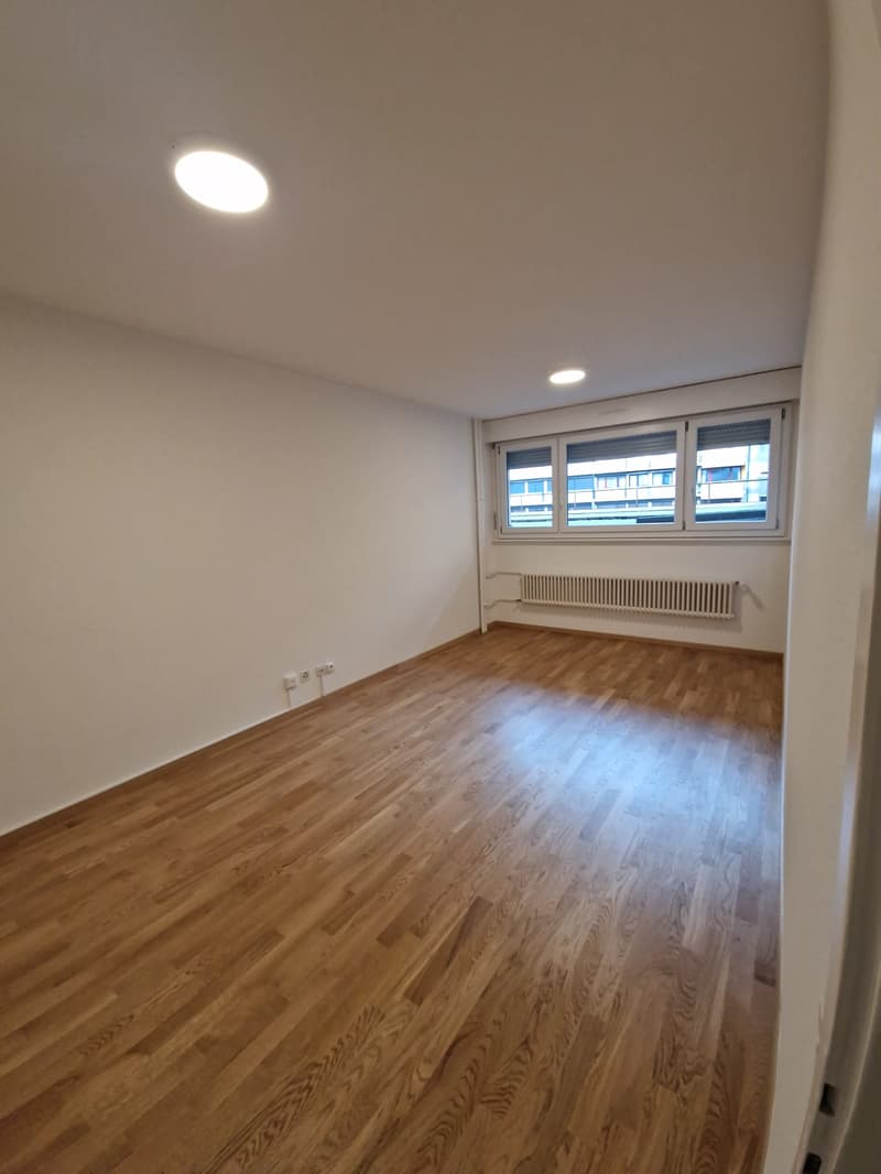 Spacieux appartement de 3 Pièces au coeur du quartier de Plainpalais (10)