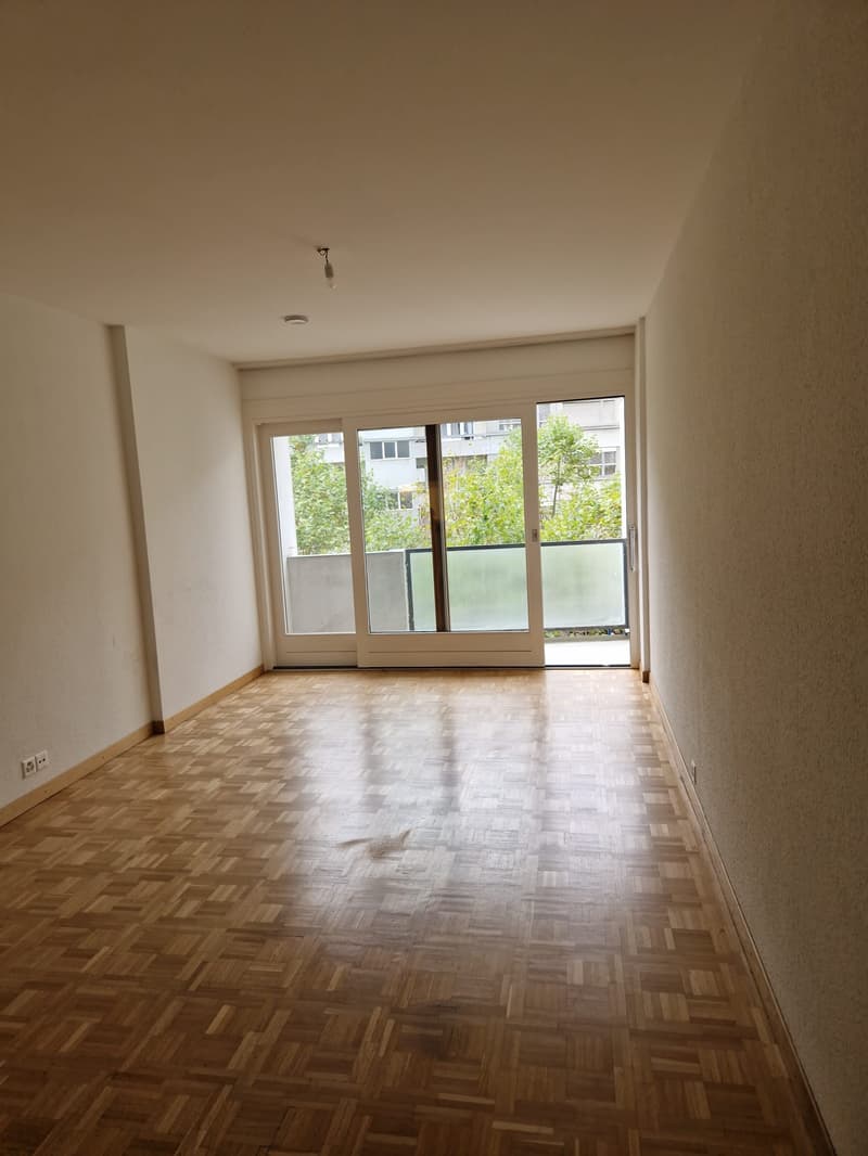 Charmant studio en plein coeur de Genève dans le quartier de la jonction / plainpalais (1)