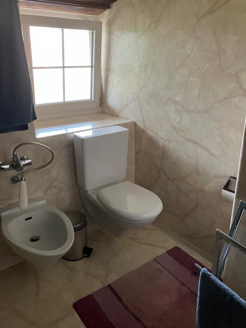 white toilet, white bidet, white walls, white flooring, small window, bathroom rug, towel
