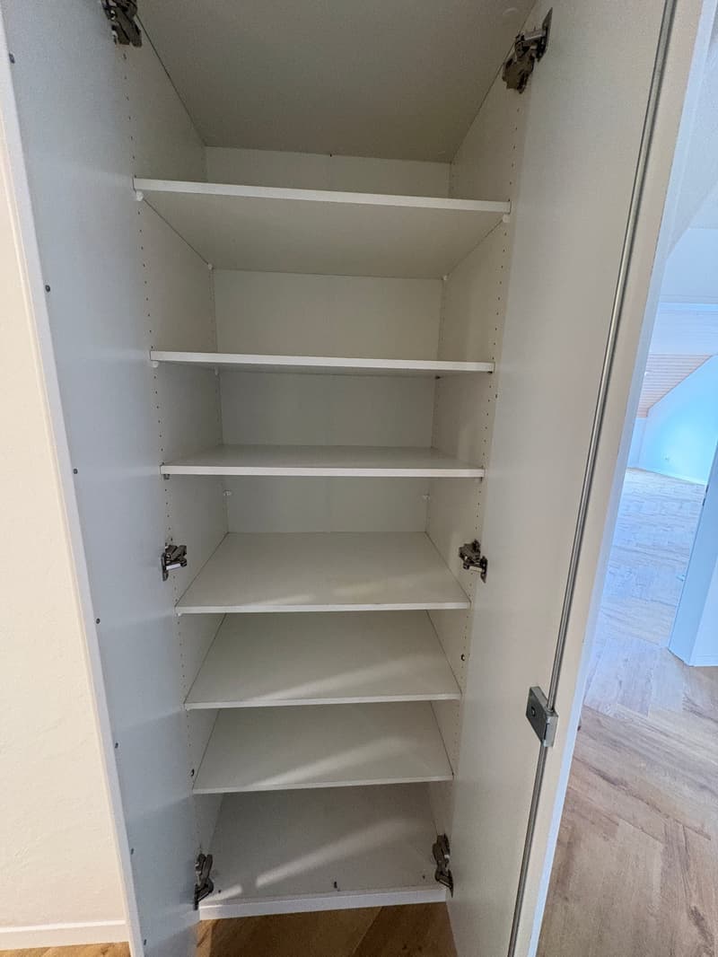 Einzigartige 4.5-Zimmer-Dachwohnung mit Cheminée und schönem Ausblick in Menziken (15)