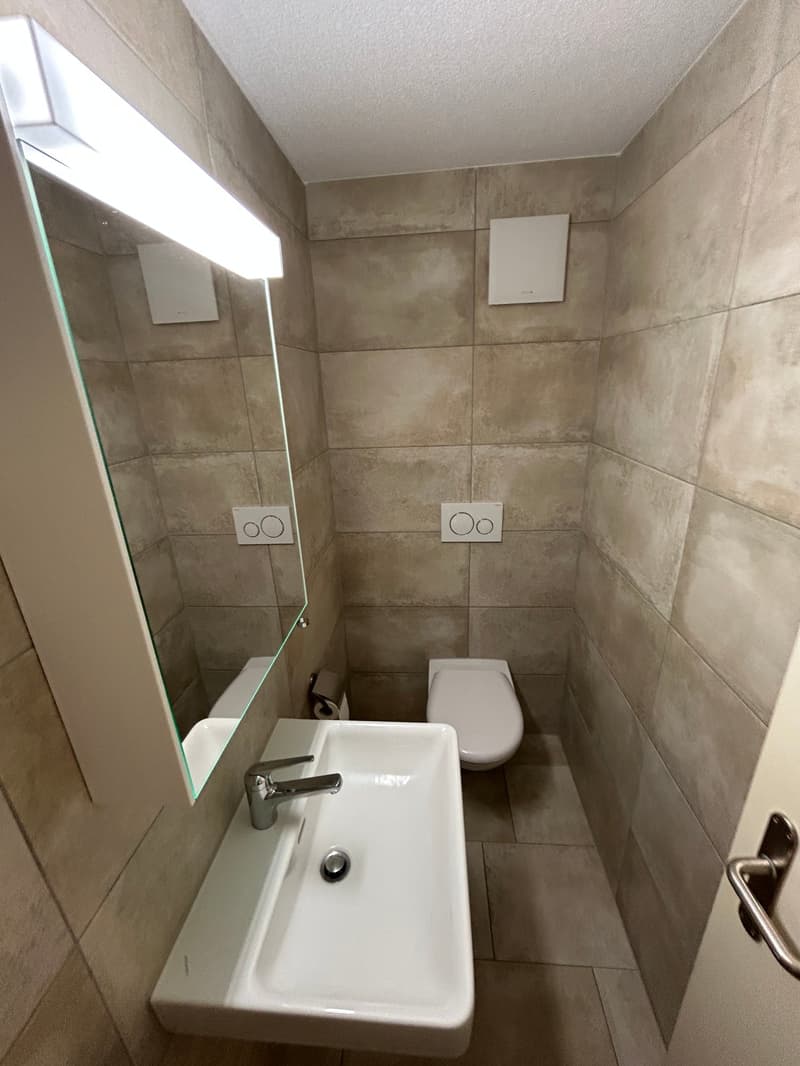 Einzigartige 4.5-Zimmer-Dachwohnung mit Cheminée und schönem Ausblick in Menziken (13)