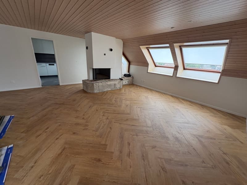Einzigartige 4.5-Zimmer-Dachwohnung mit Cheminée und schönem Ausblick in Menziken (3)