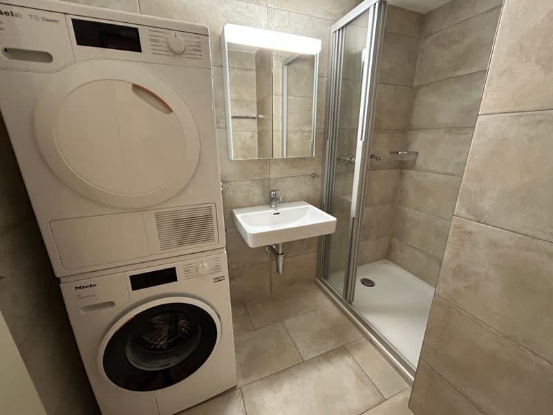 Einzigartige 4.5-Zimmer-Dachwohnung mit Cheminée und schönem Ausblick in Menziken (12)