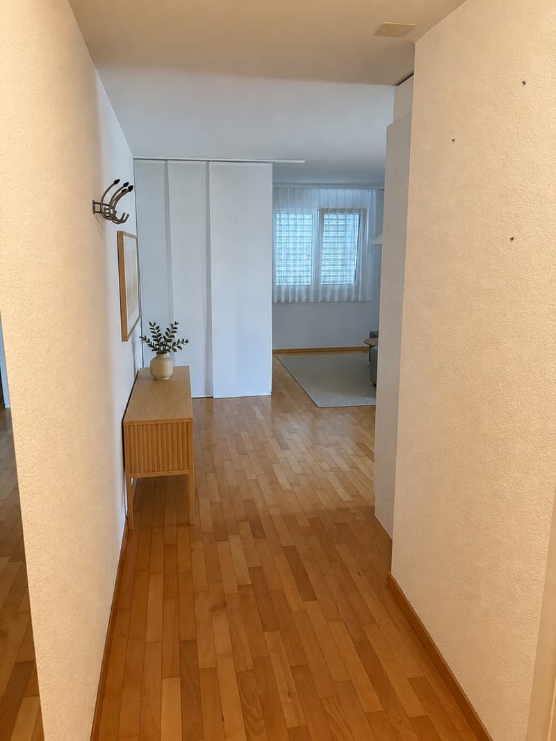 Grosszügige 1.5-Zimmer-Wohnung mit Balkon in Menziken (6)