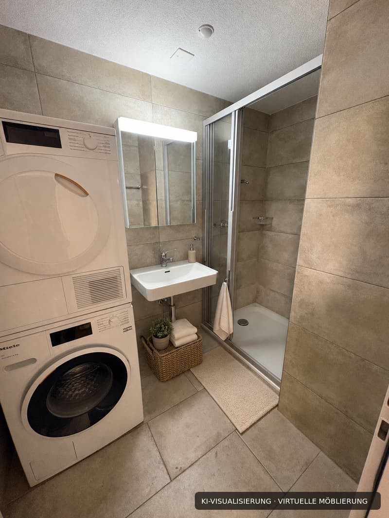 Renovierte 4.5-Zimmer-Dachwohnung mit Cheminée, Lift und Weitblick (12)
