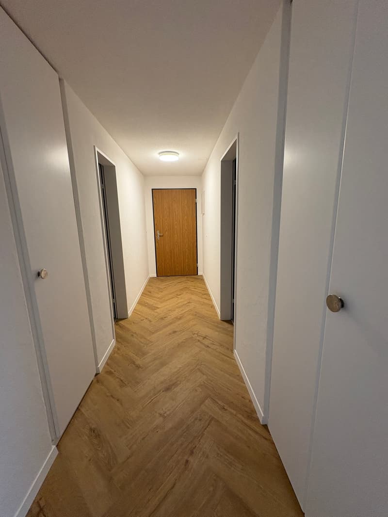 Renovierte 4.5-Zimmer-Dachwohnung mit Cheminée, Lift und Weitblick (17)
