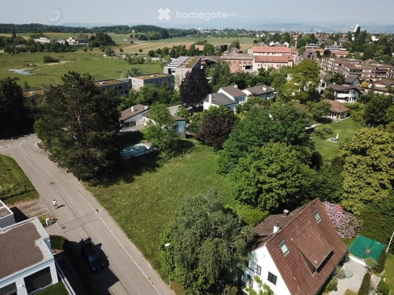 An aerial view of a suburban neighborhood with multiple houses, trees, grass, and a road.