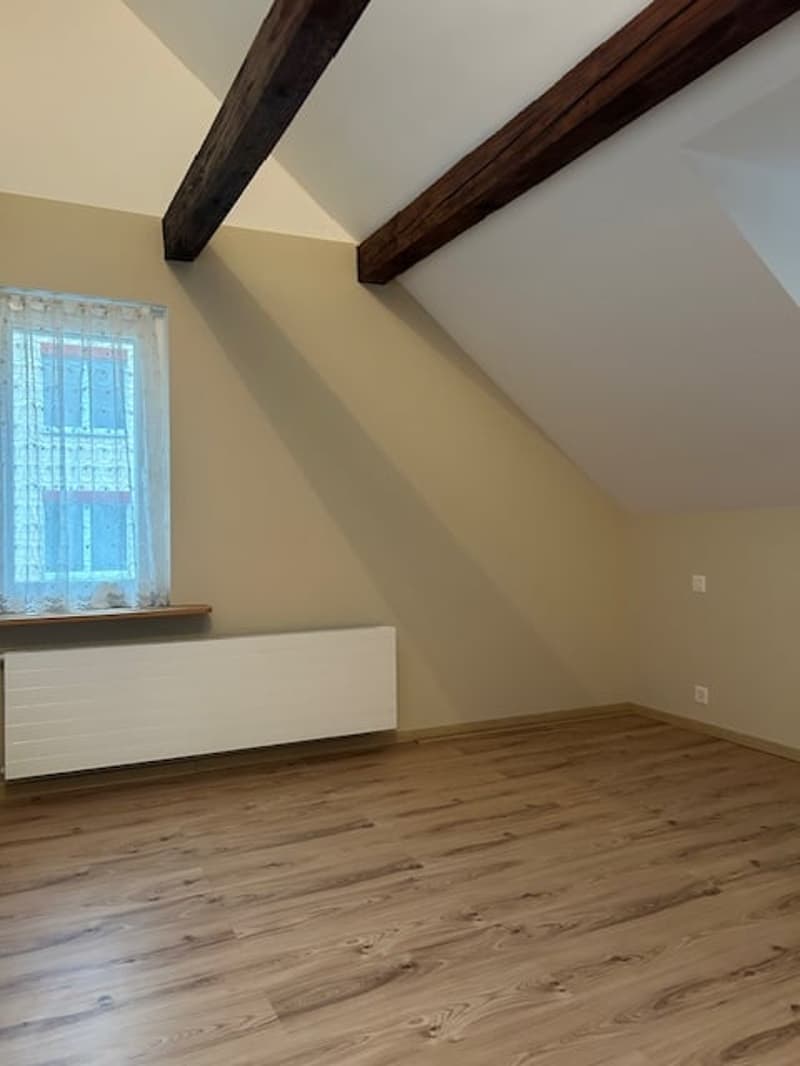 Freistehendes Einfamilienhaus an zentraler Lage in Münchenstein (9)