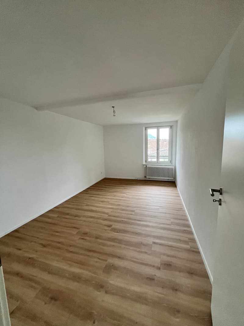 Modern, komplett saniert & mit grosser Terrasse – 4.5 Zimmer Wohnung in Mellikon – Bezug ab sofort (10)