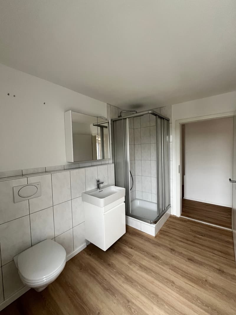 Modern, komplett saniert & mit grosser Terrasse – 4.5 Zimmer Wohnung in Mellikon – Bezug ab sofort (21)