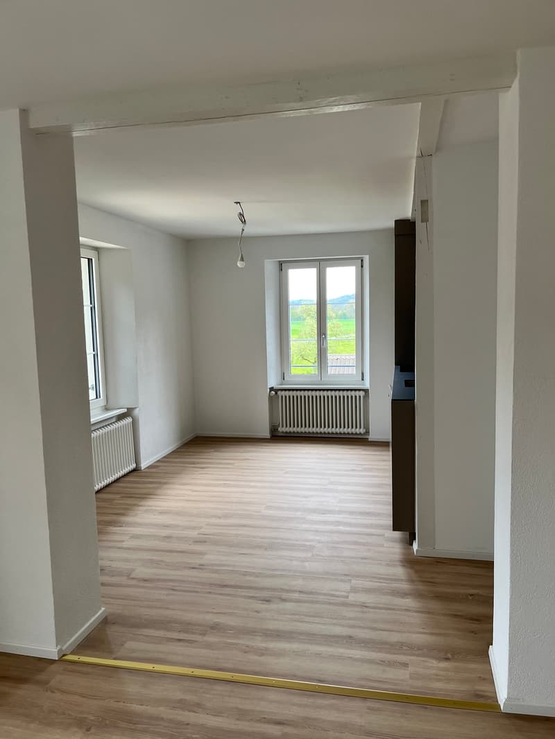 Modern, komplett saniert & mit grosser Terrasse – 4.5 Zimmer Wohnung in Mellikon – Bezug ab sofort (17)
