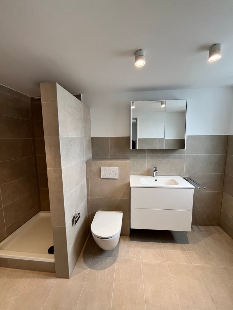 Modern, komplett saniert & mit grosser Terrasse – 4.5 Zimmer Wohnung in Mellikon – Bezug ab sofort (8)