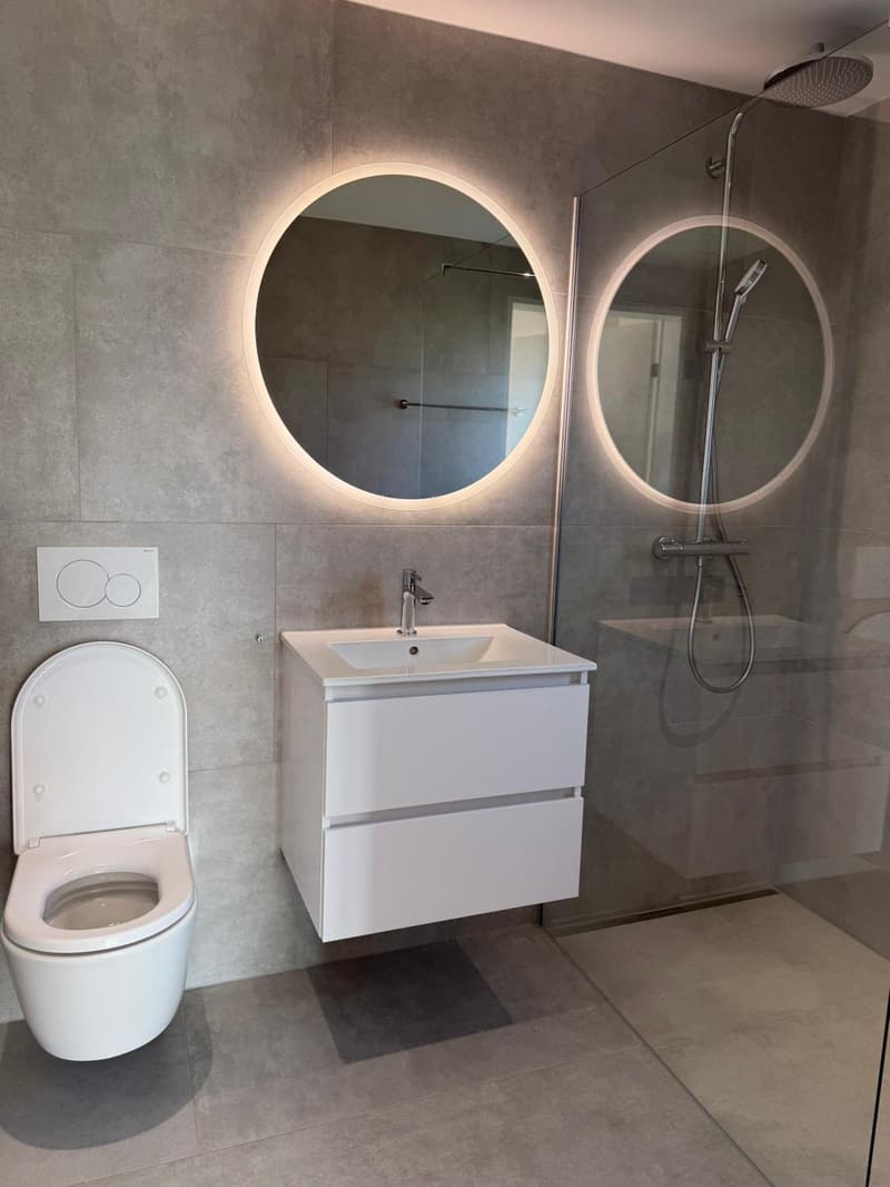 Moderne 2.5-Zimmer-Wohnung in Reinach mit Balkon und Garage (4)