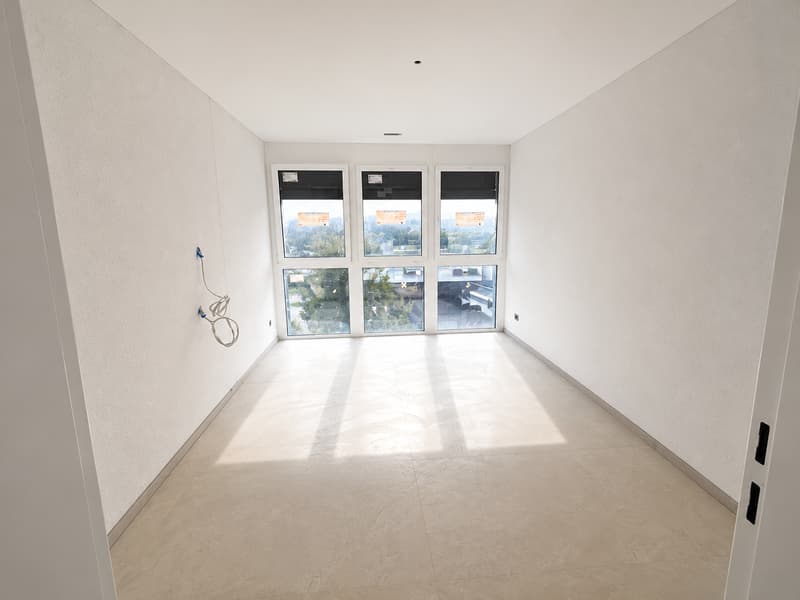 Luxus pur – Exklusive 4.5-Zimmer-Terrassenwohnung in Rothrist (7)