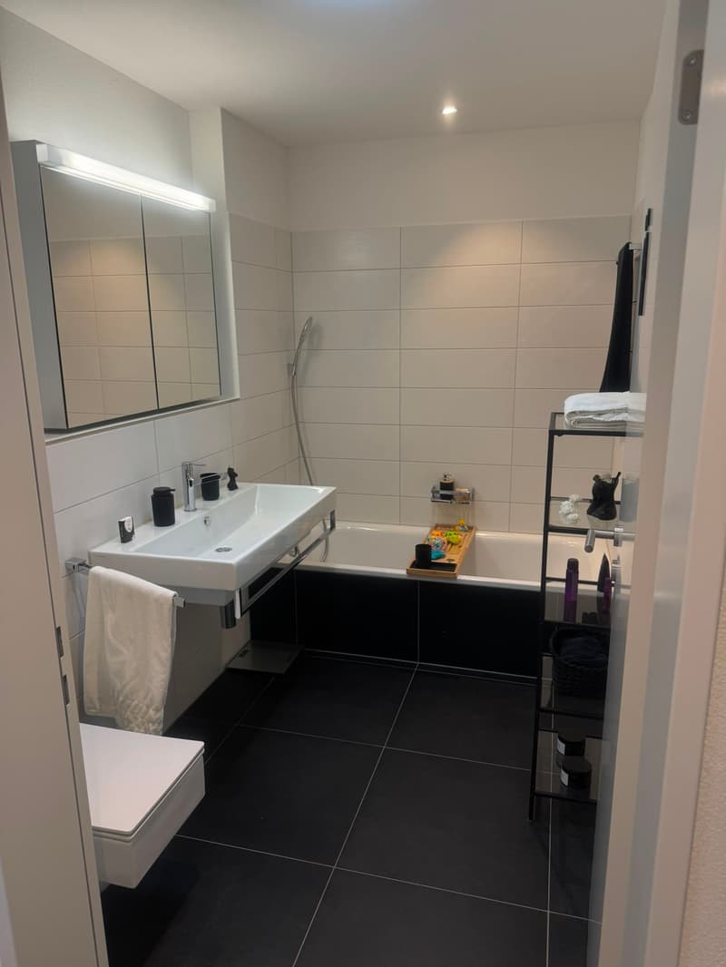 Helle 3.5-Zimmer-Attikawohnung mit Terrasse in Würenlingen – sofort verfügbar! (3)