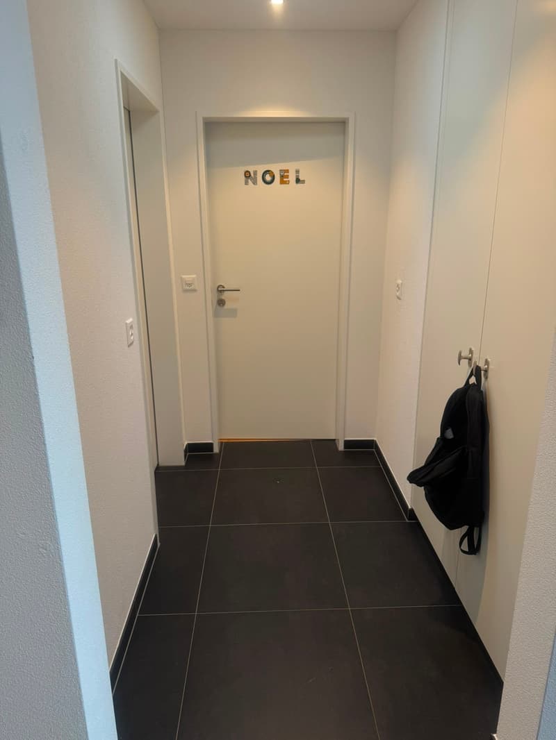 Helle 3.5-Zimmer-Attikawohnung mit Terrasse in Würenlingen – sofort verfügbar! (4)