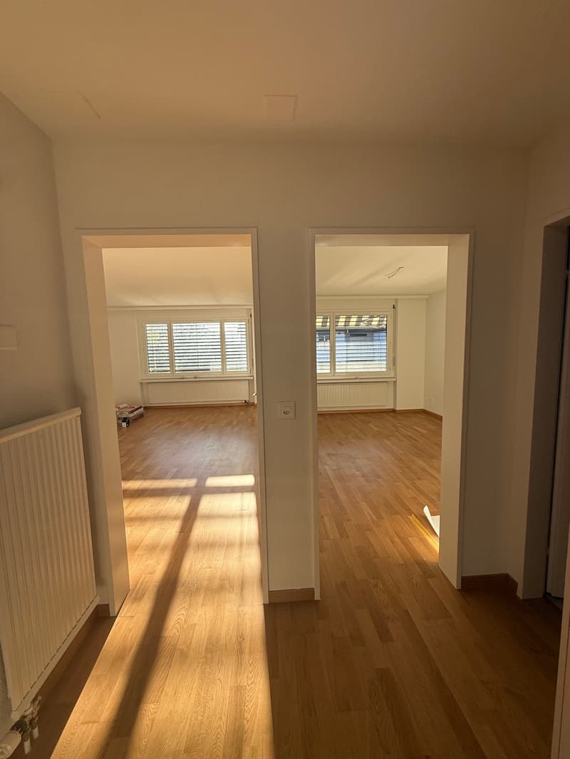 Erstvermietung nach Sanierung – moderne 2.5-Zimmer-Wohnung mit Balkon (7)